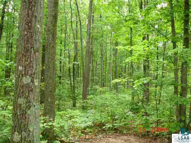 0 Fischer Road Ashland, WI 54806 - Photo 1 of 1