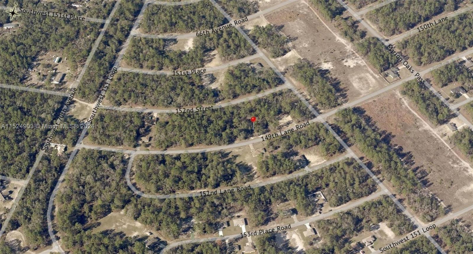 Marion County Ocala, FL 34473 - Photo 2 of 2 a view of a forest