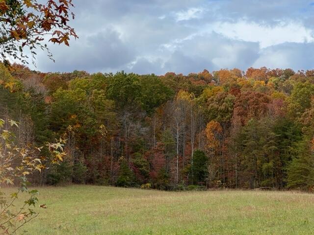 9999 Sunrise Valley Road, Unit TRACT 2 Irvine, KY 40336 - Photo 23 of 33 WW 38