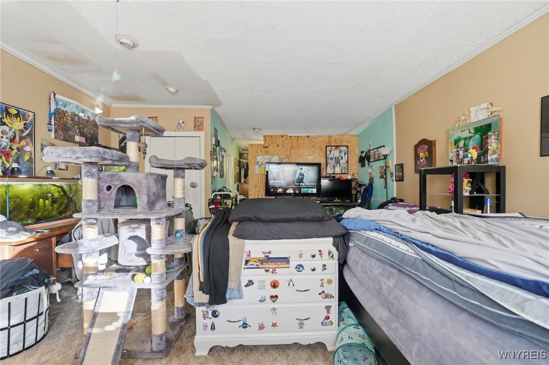 45 Crane Street Depew, NY 14043 - Photo 18 of 50