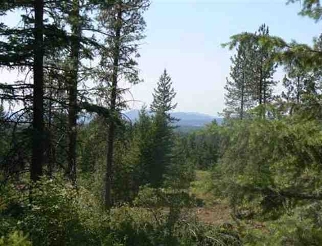 14000 East Nelson Road Elk, WA 99009 - Photo 7 of 8 Gallery Image 7