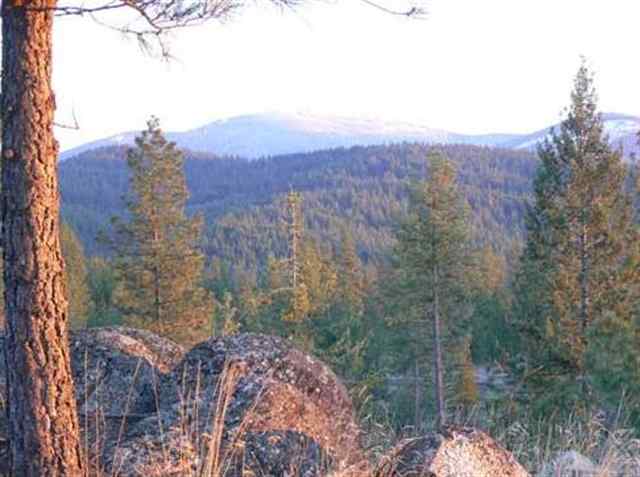14000 East Nelson Road Elk, WA 99009 - Photo 8 of 8 Gallery Image 8