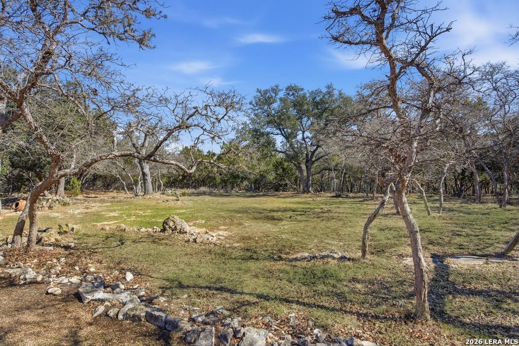 318 River Ridge Boerne, TX 78006 - Photo 34 of 46 a view of a yard with a tree