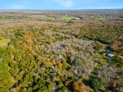 $600,000 | 272 Deadwood Road, Cedar Creek, TX 78612