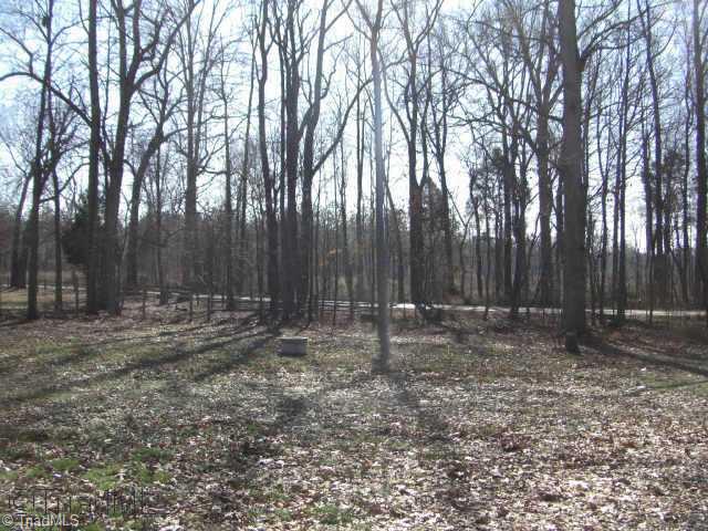 2415 Varner Road Greensboro, NC 27406 - Photo 6 of 6 Other. Backyard