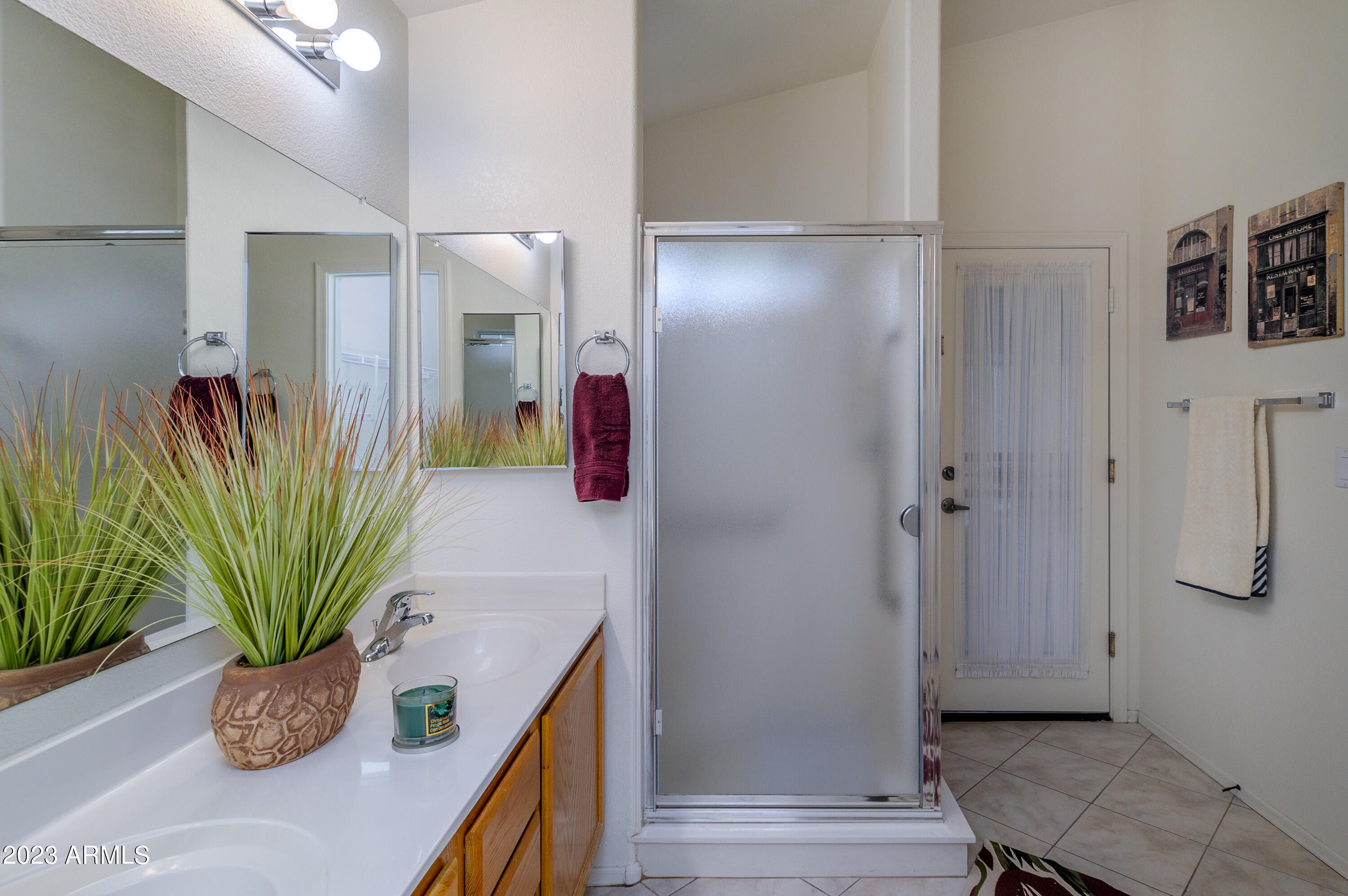 17752 North Raindance Road Surprise, AZ 85374 - Photo 8 of 14 Master Bath