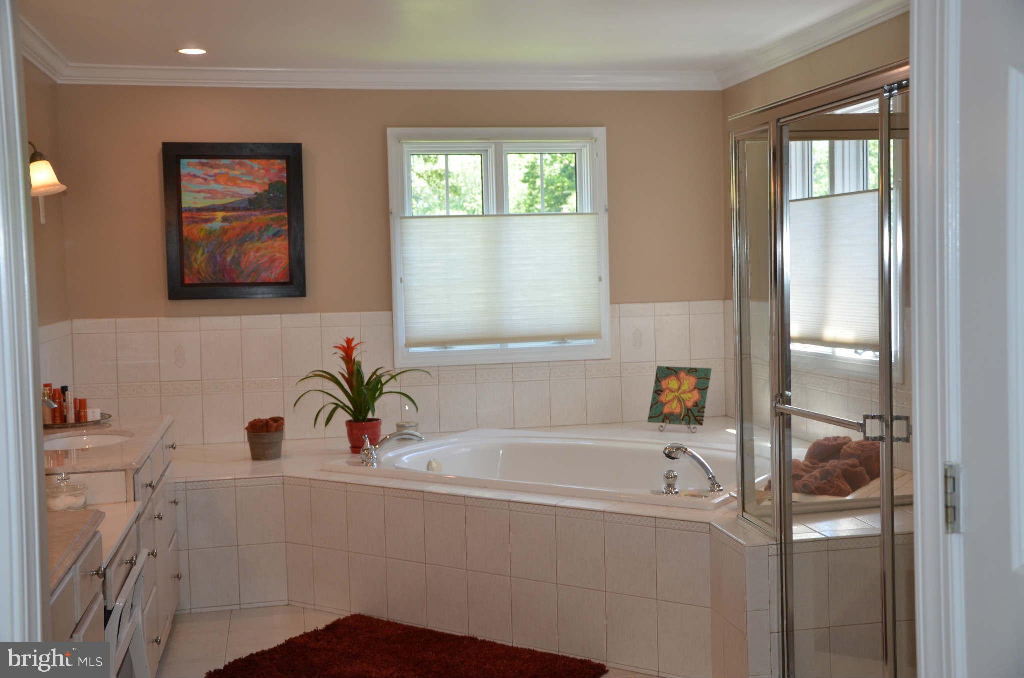 1841 Beulah Road Vienna, VA 22182 - Photo 21 of 30 Master Bath