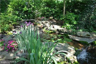 1841 Beulah Road Vienna, VA 22182 - Photo 6 of 30 Koi Pond