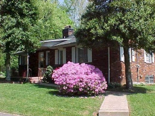 Primary Photo