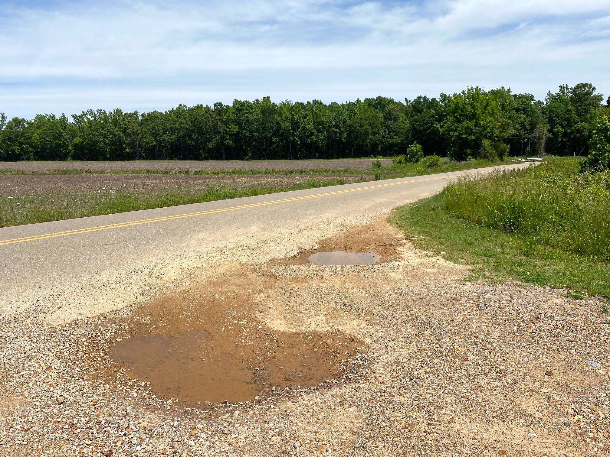 Charles Ward Way Selmer, TN 38375 - Photo 12 of 14
