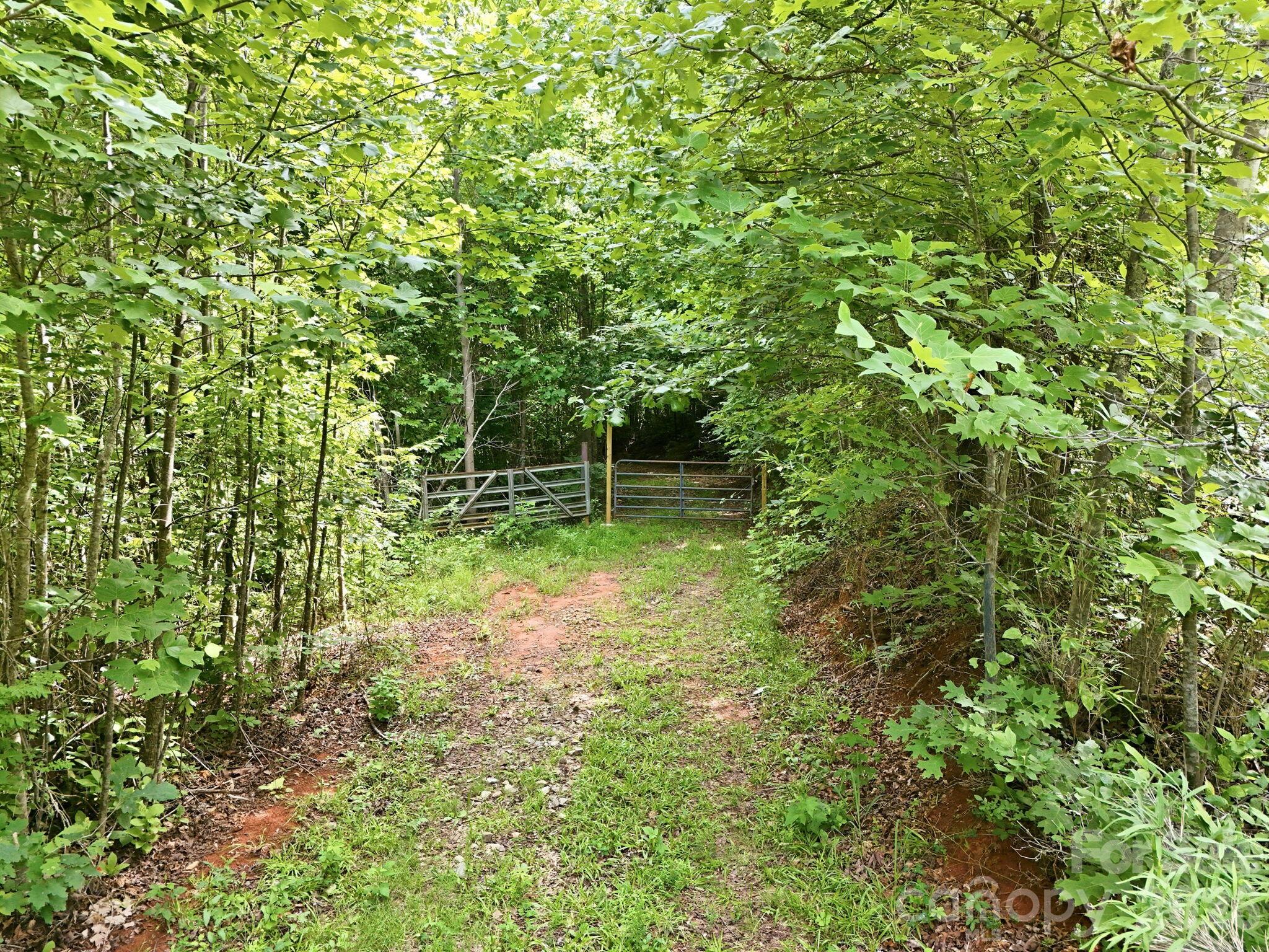 2301 Parker Padgett Road Old Fort, NC 28762 - Photo 14 of 17