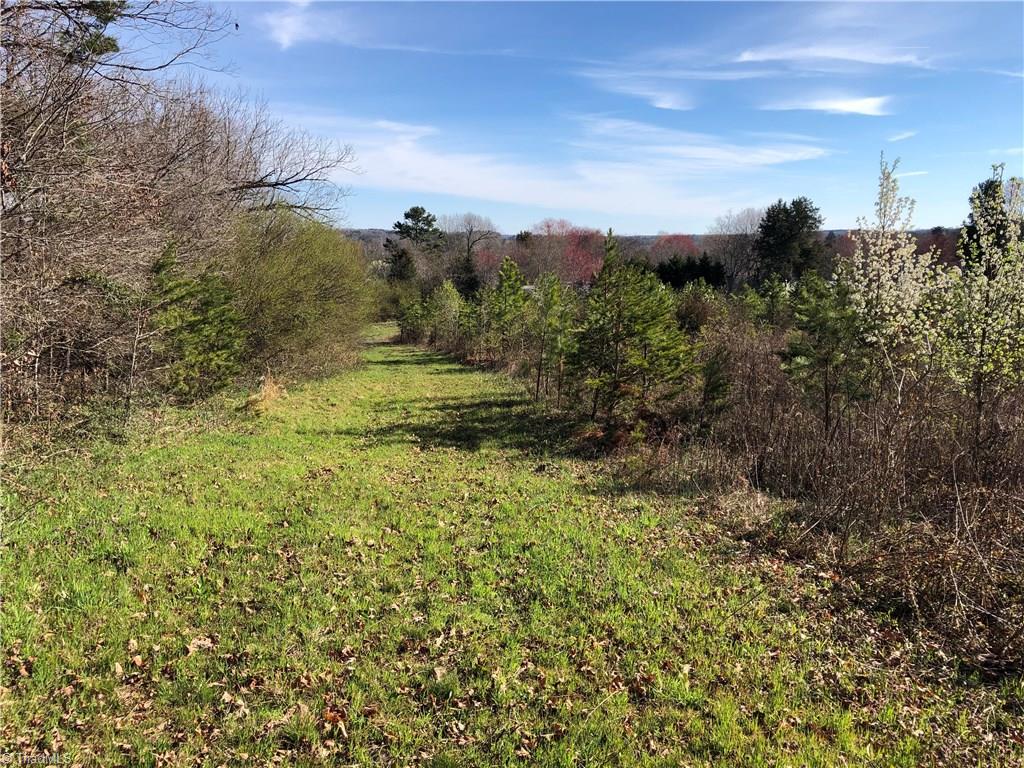 0 Highway 65 Germanton, NC 27019 - Photo 2 of 4