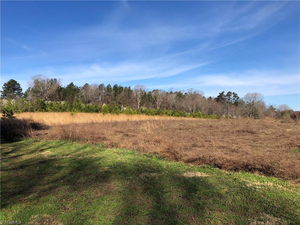 0 Highway 65 Germanton, NC 27019 - Photo 3 of 4