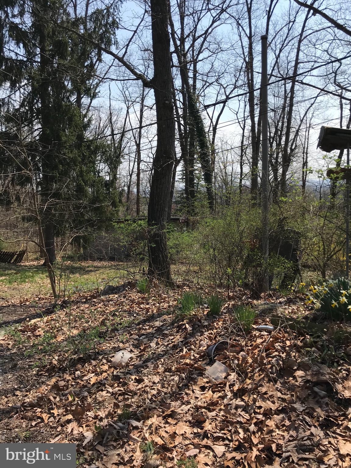 770 Tower Road Enola, PA 17025 - Photo 13 of 15 Gallery Image 13