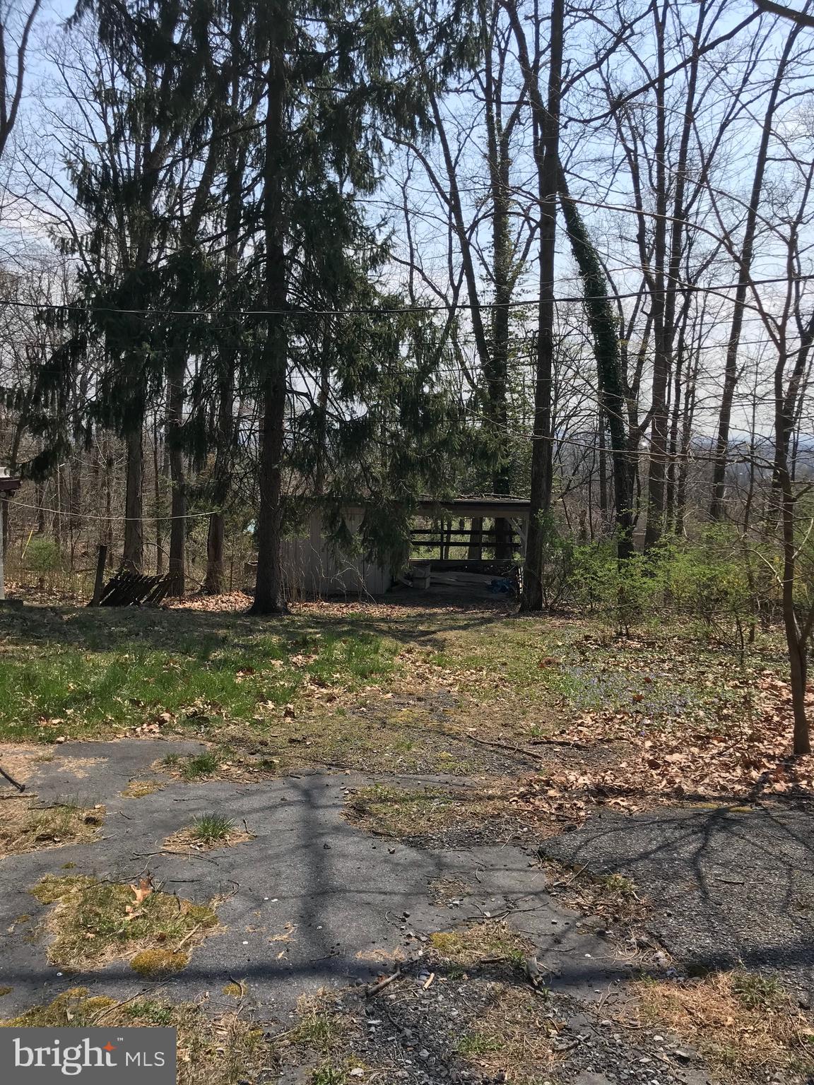 770 Tower Road Enola, PA 17025 - Photo 4 of 15 Gallery Image 4