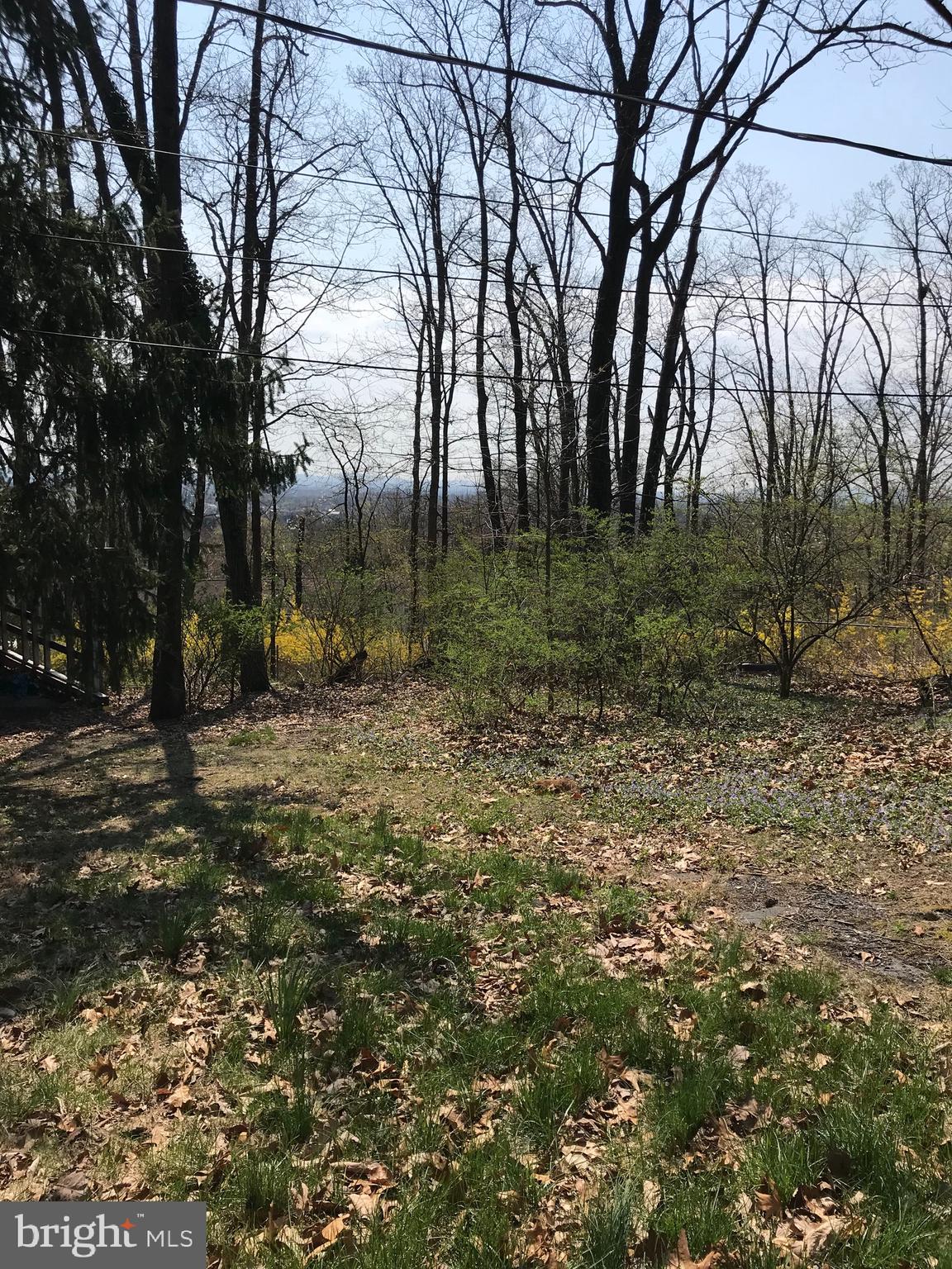 770 Tower Road Enola, PA 17025 - Photo 5 of 15 Gallery Image 5