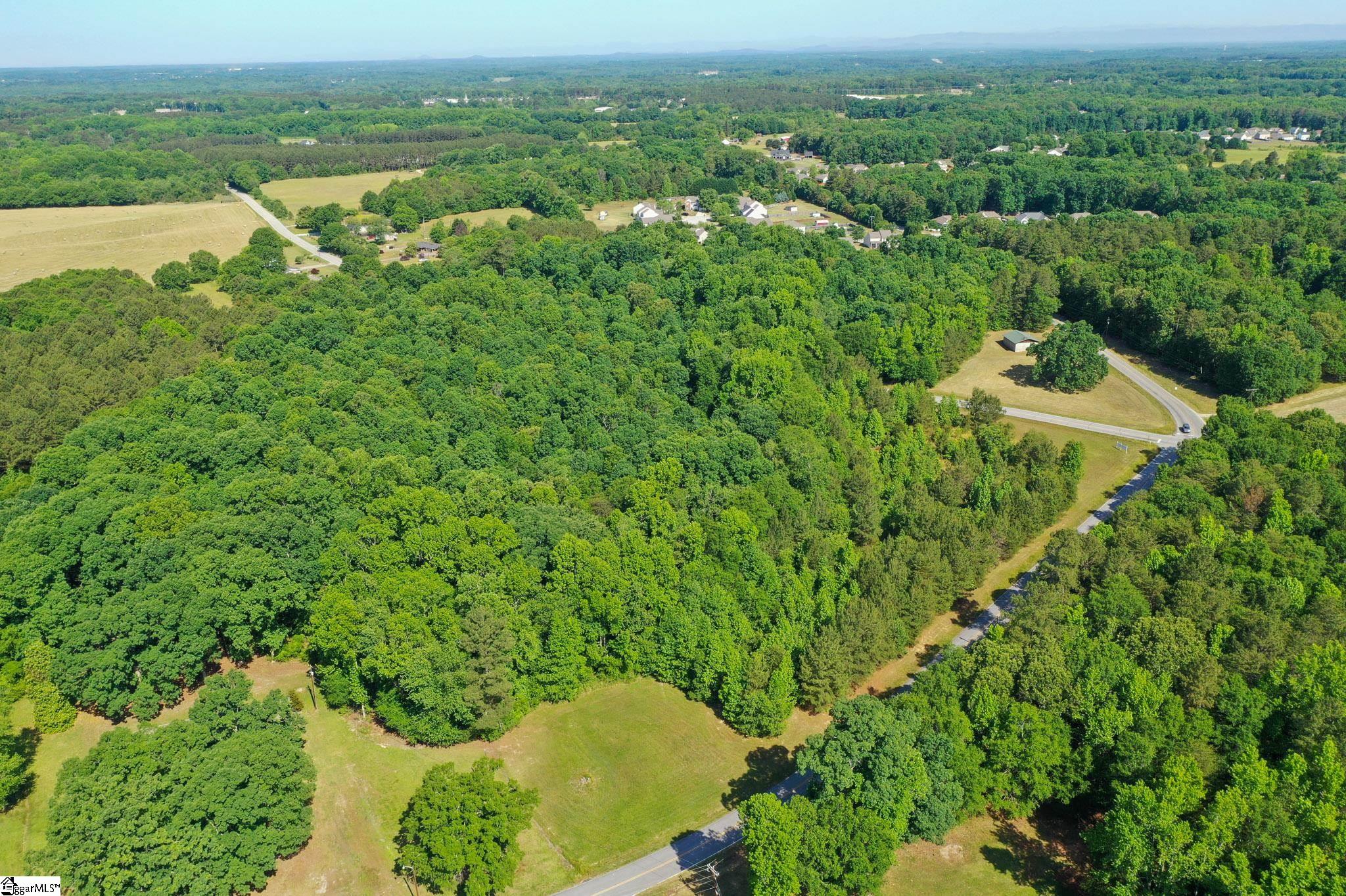 West Georgia Road Pelzer, SC 29669 - Photo 3 of 9