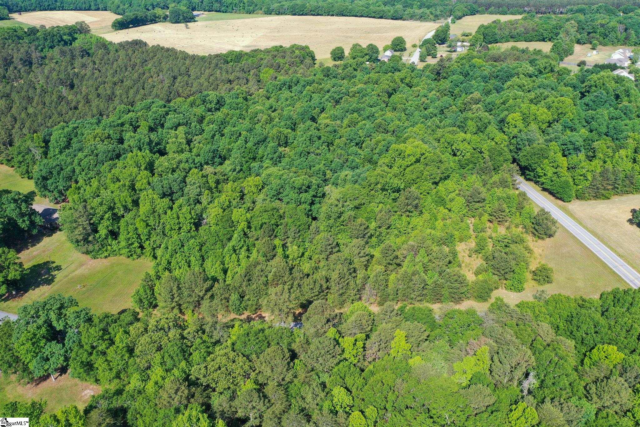 West Georgia Road Pelzer, SC 29669 - Photo 9 of 9
