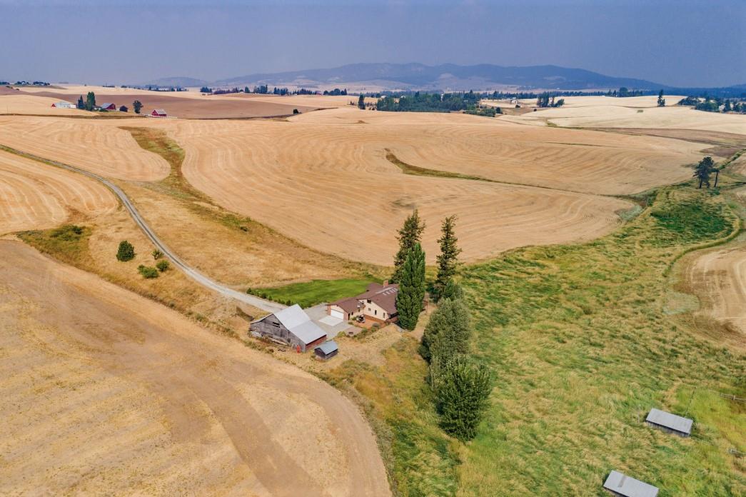 15611 South Madison Road Valleyford, WA 99036 - Photo 4 of 20