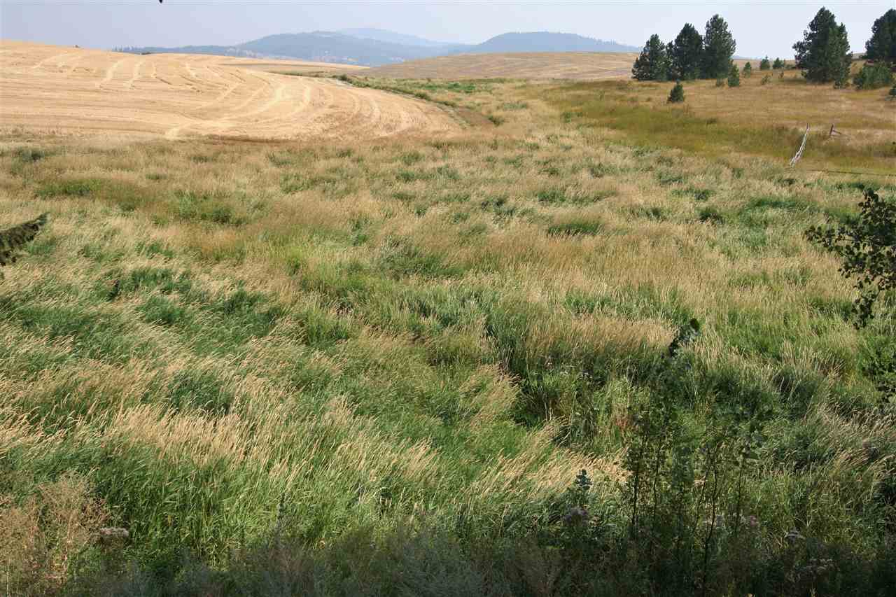 15611 South Madison Road Valleyford, WA 99036 - Photo 7 of 20