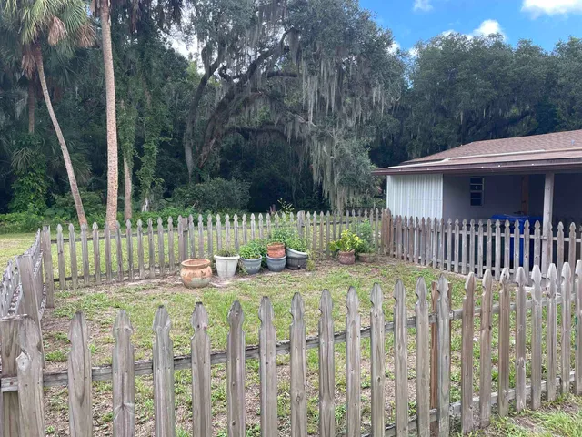 a view of a big yard with plants and large trees