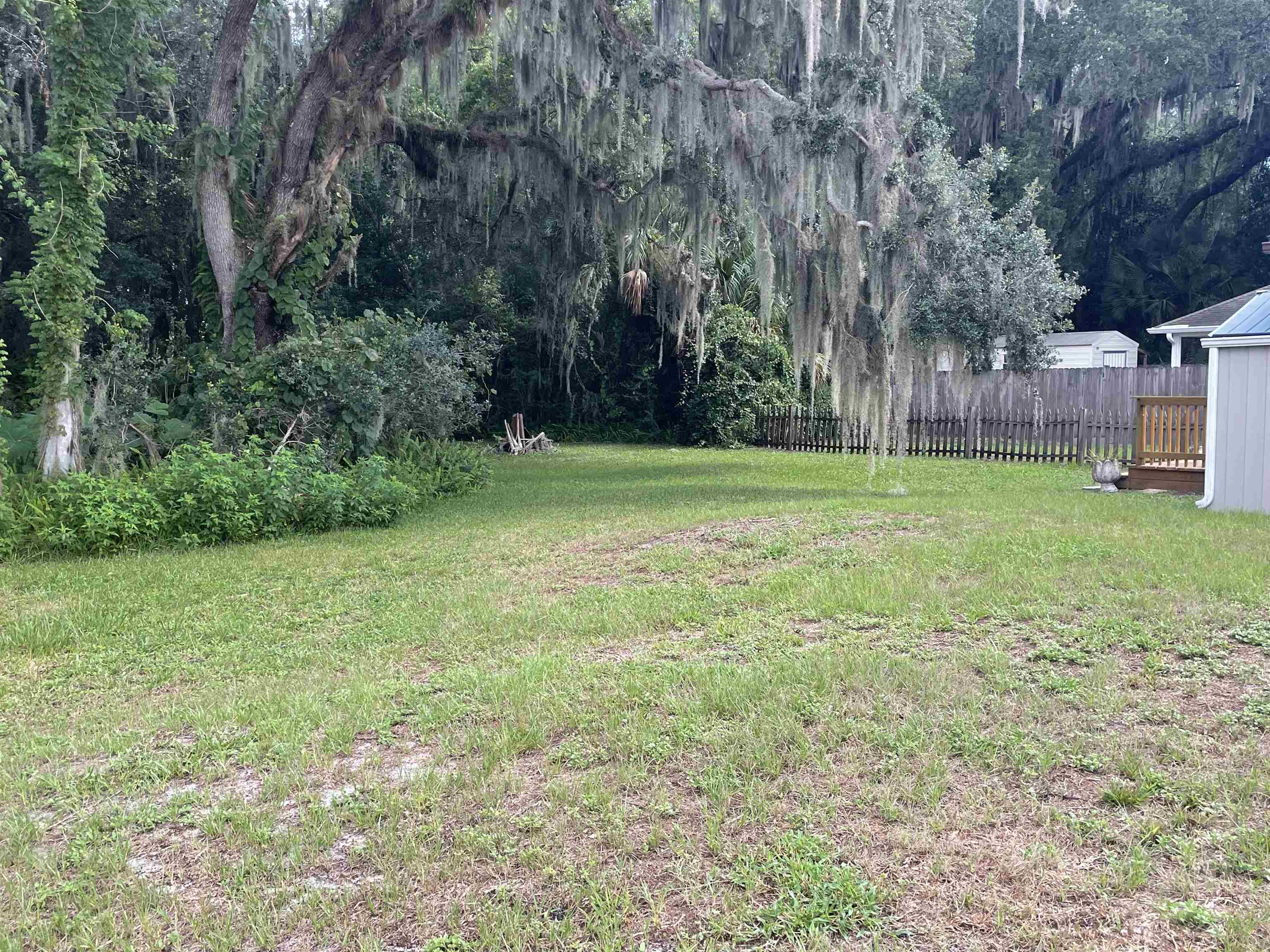 850 Chapin Street St. Augustine, FL 32084 - Photo 14 of 15 a view of a big yard with plants and large trees