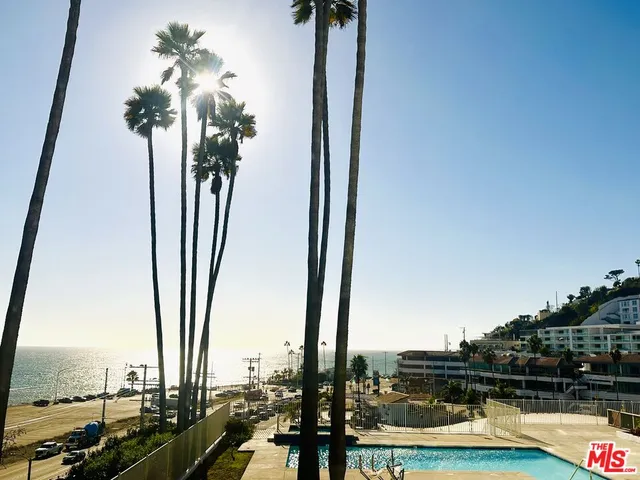 a view of a lake with a palm tree
