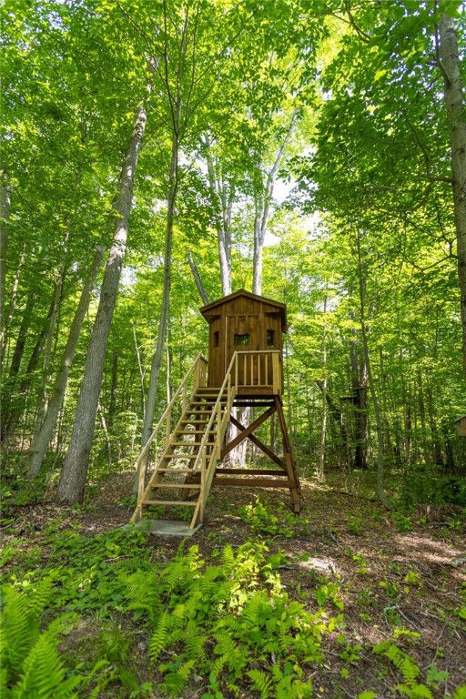 Scoville Road Dansville, NY 14437 - Photo 11 of 23