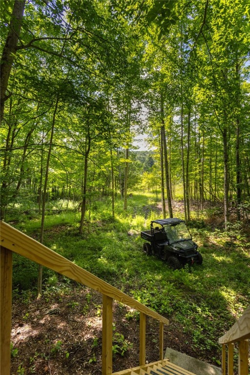 Scoville Road Dansville, NY 14437 - Photo 13 of 23