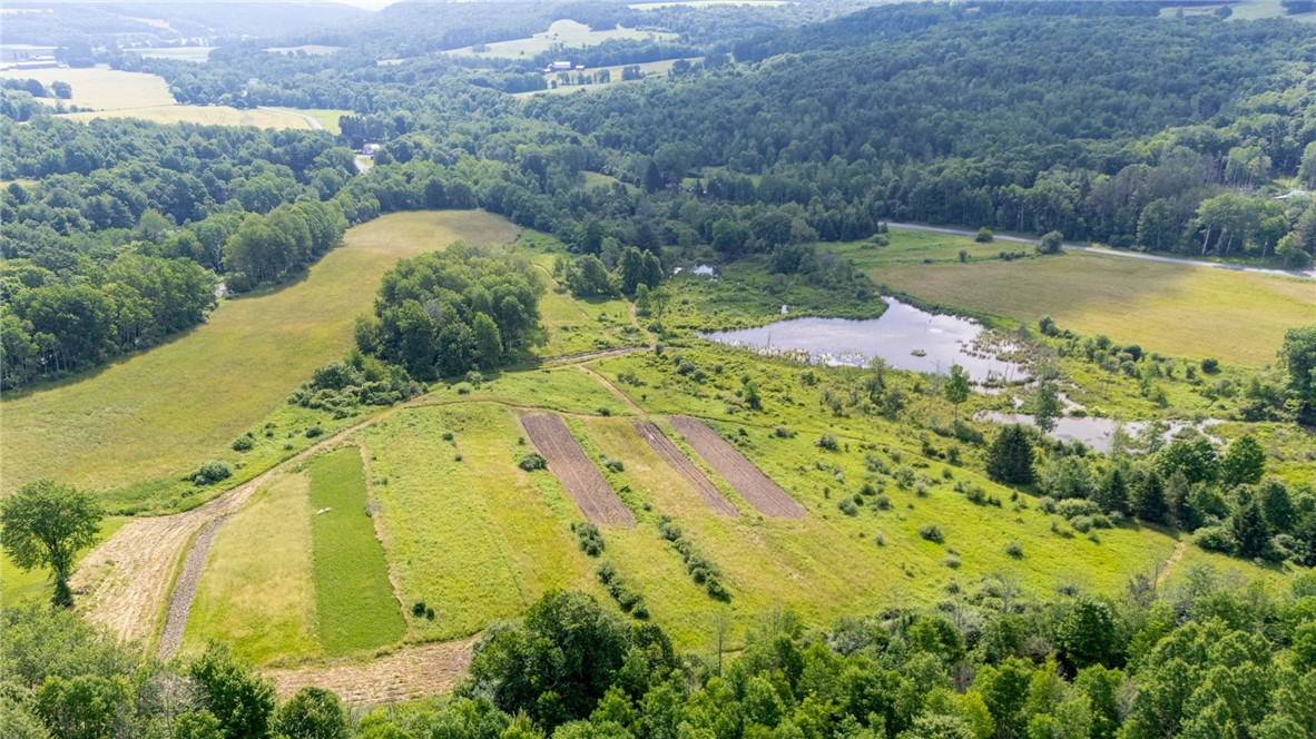 Scoville Road Dansville, NY 14437 - Photo 15 of 23