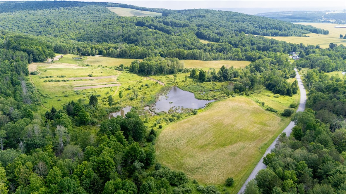 Scoville Road Dansville, NY 14437 - Photo 17 of 23