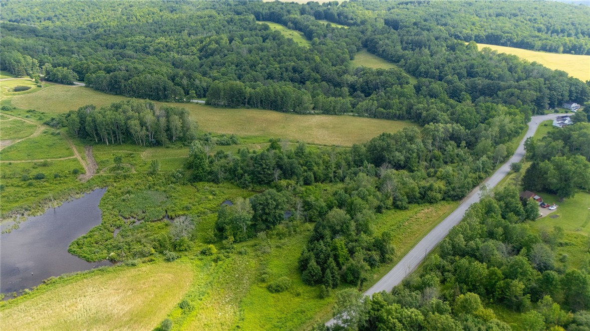 Scoville Road Dansville, NY 14437 - Photo 18 of 23