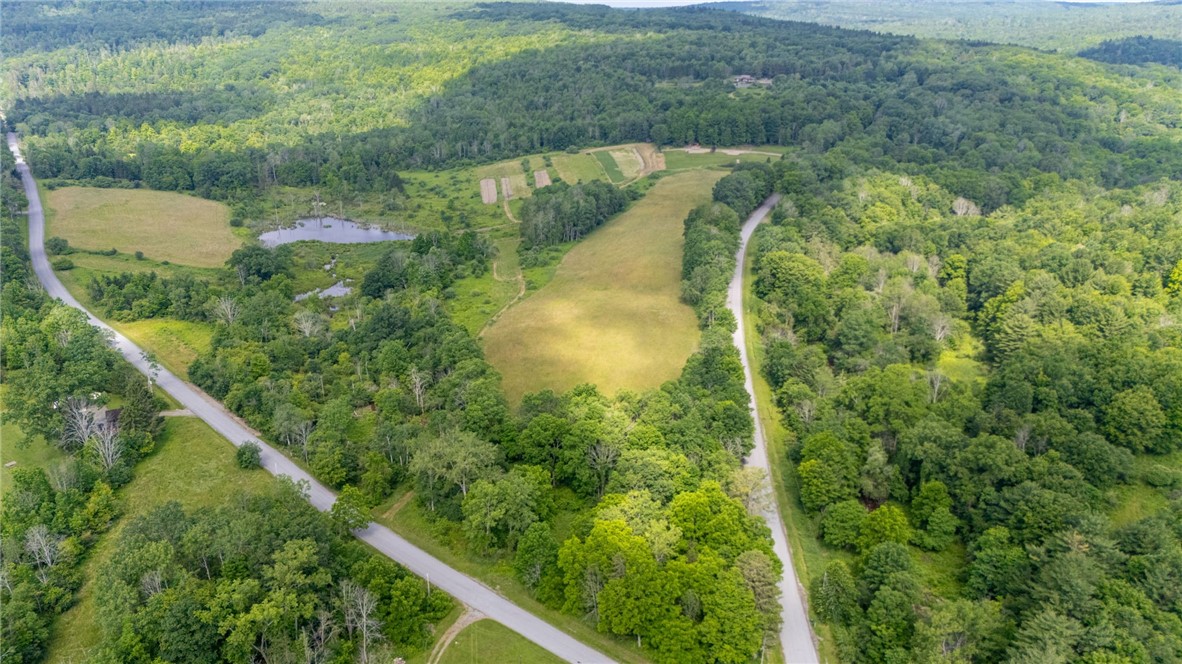 Scoville Road Dansville, NY 14437 - Photo 19 of 23