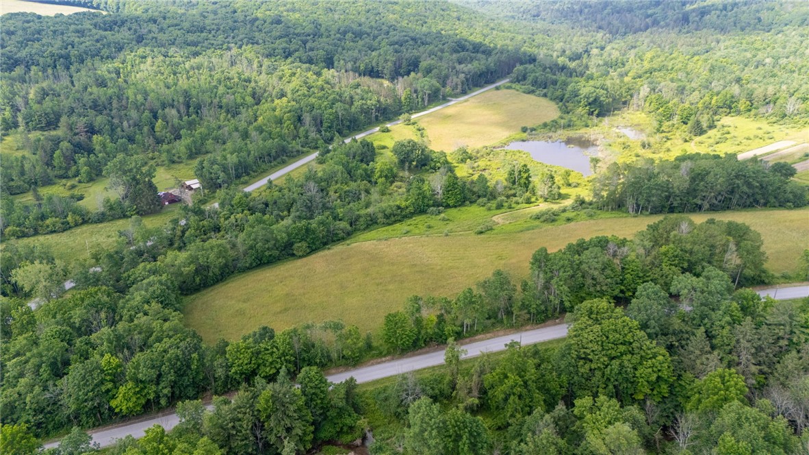 Scoville Road Dansville, NY 14437 - Photo 20 of 23