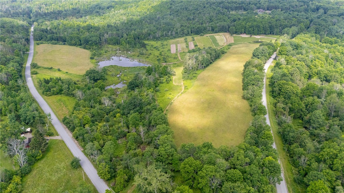 Scoville Road Dansville, NY 14437 - Photo 2 of 23