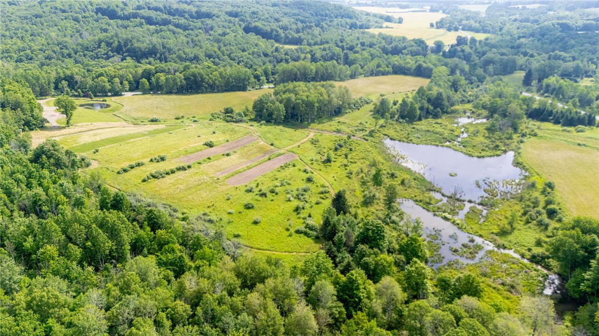 Scoville Road Dansville, NY 14437 - Photo 21 of 23