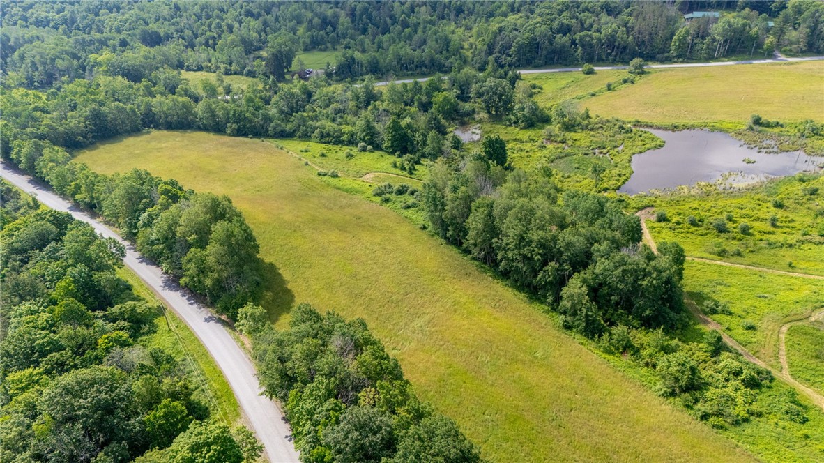 Scoville Road Dansville, NY 14437 - Photo 22 of 23