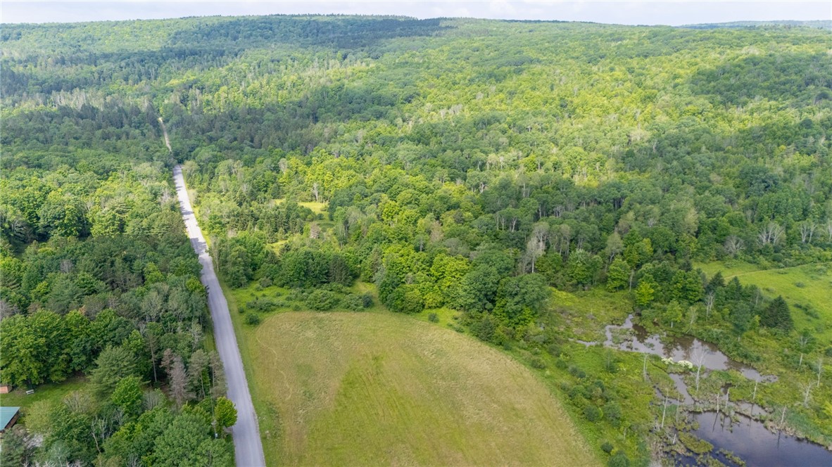 Scoville Road Dansville, NY 14437 - Photo 23 of 23