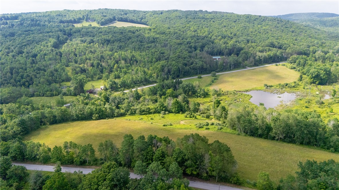 Scoville Road Dansville, NY 14437 - Photo 3 of 23