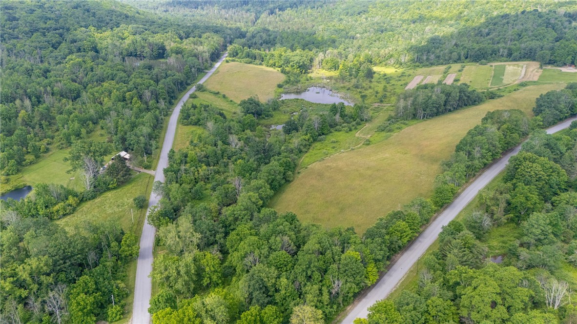 Scoville Road Dansville, NY 14437 - Photo 4 of 23