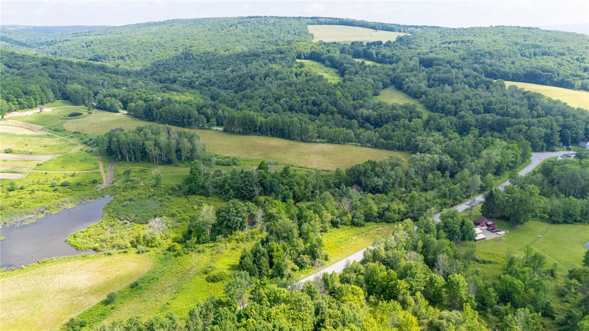 Scoville Road Dansville, NY 14437 - Photo 5 of 23