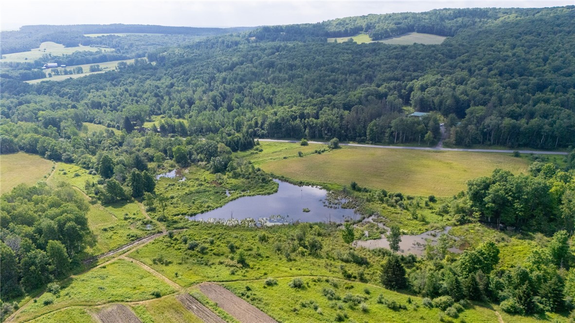 Scoville Road Dansville, NY 14437 - Photo 6 of 23