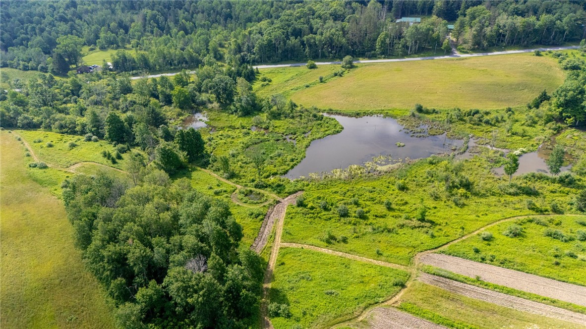 Scoville Road Dansville, NY 14437 - Photo 7 of 23