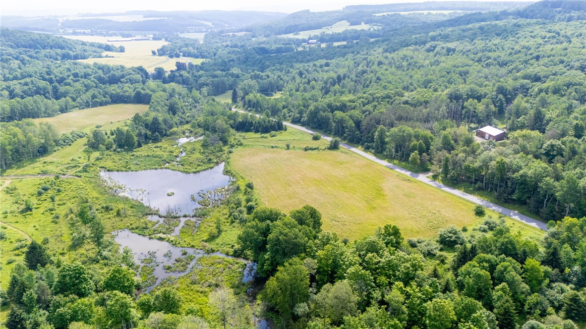 Scoville Road Dansville, NY 14437 - Photo 8 of 23