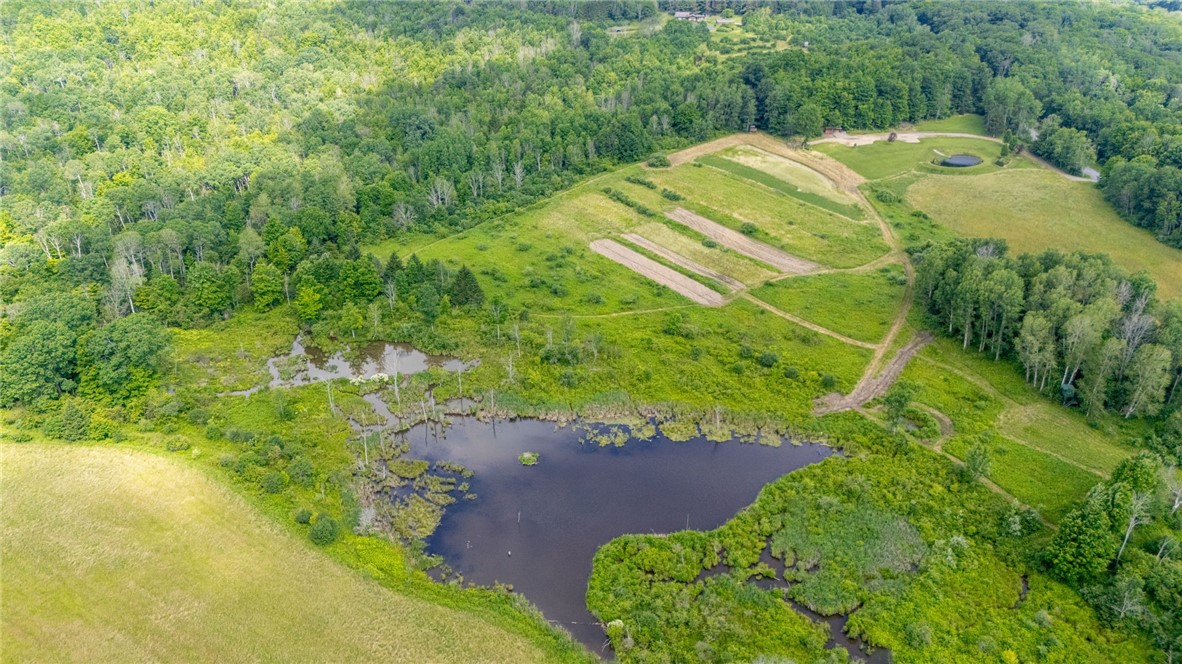 Scoville Road Dansville, NY 14437 - Photo 9 of 23