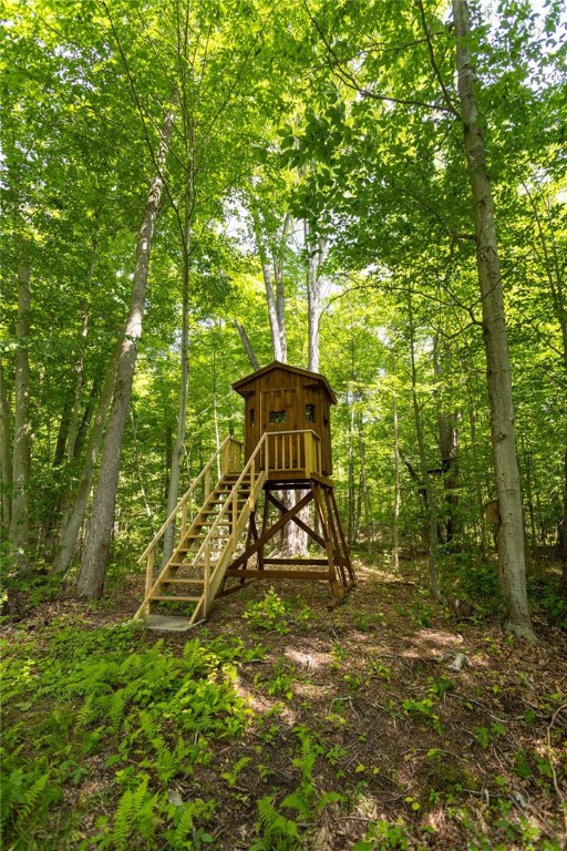 Scoville Road Dansville, NY 14437 - Photo 10 of 23