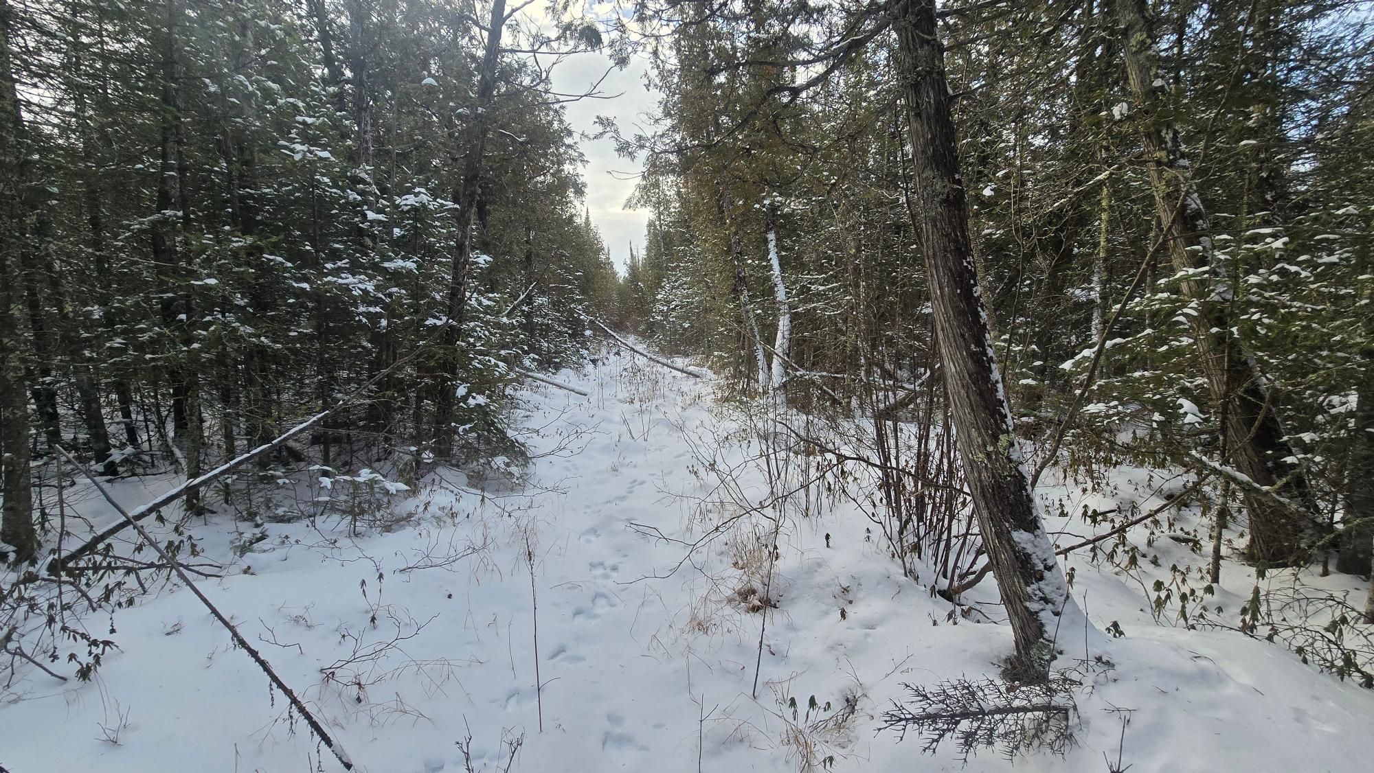 Near Lowells Road Deerbrook, WI 54424 - Photo 13 of 19 Gallery Image 13