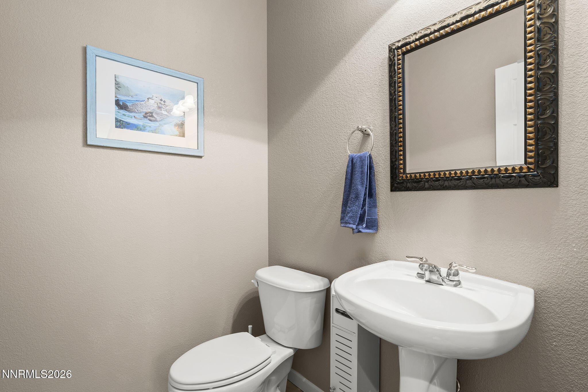 11041 Colton Drive Reno, NV 89521 - Photo 13 of 28 a bathroom with a toilet a sink and mirror