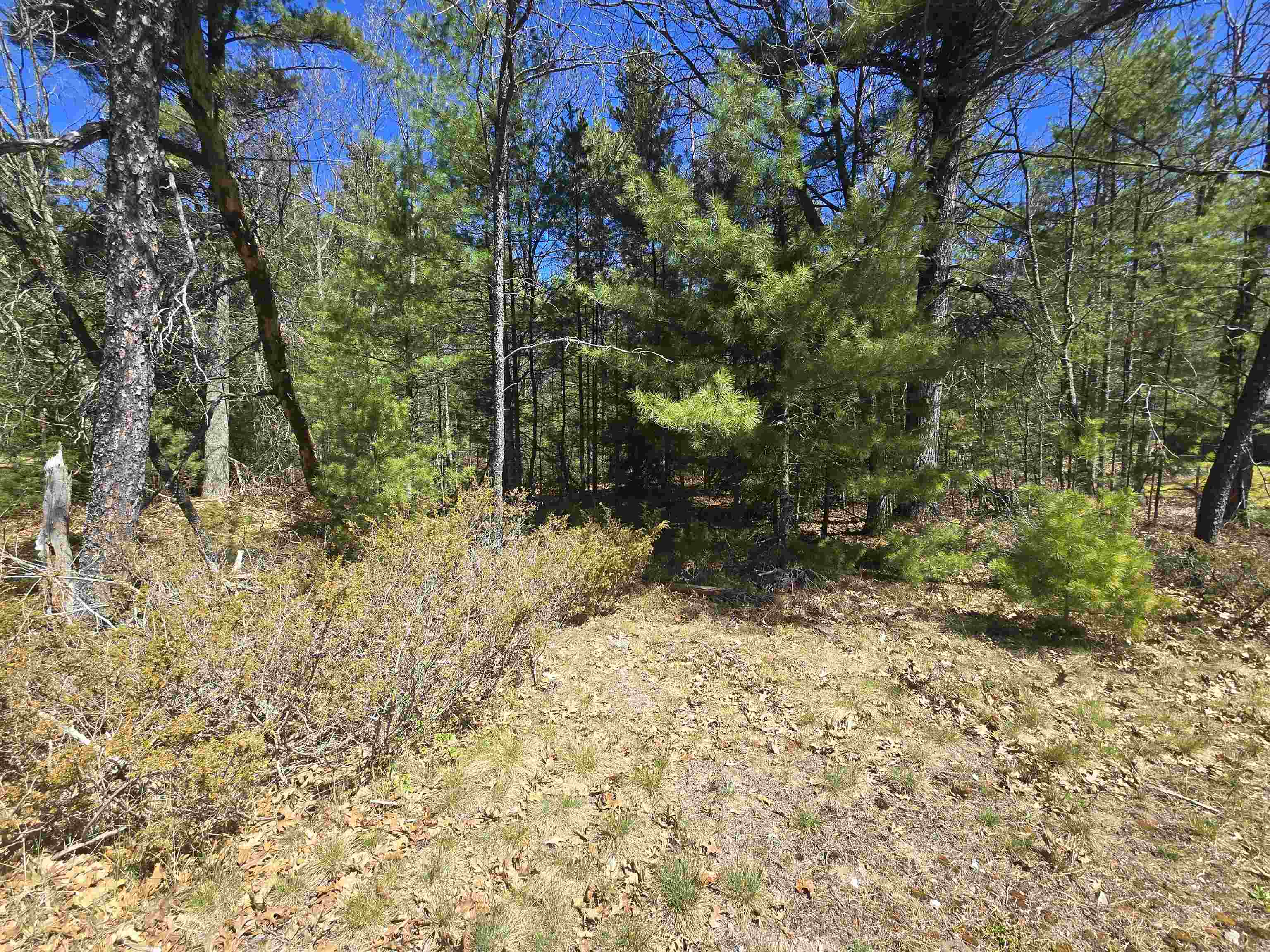 4699 Johnson Road Oscoda, MI 48750 - Photo 3 of 5 1947652-79bb4137-e453-4562-ae47-eb38014c2a62.JPG