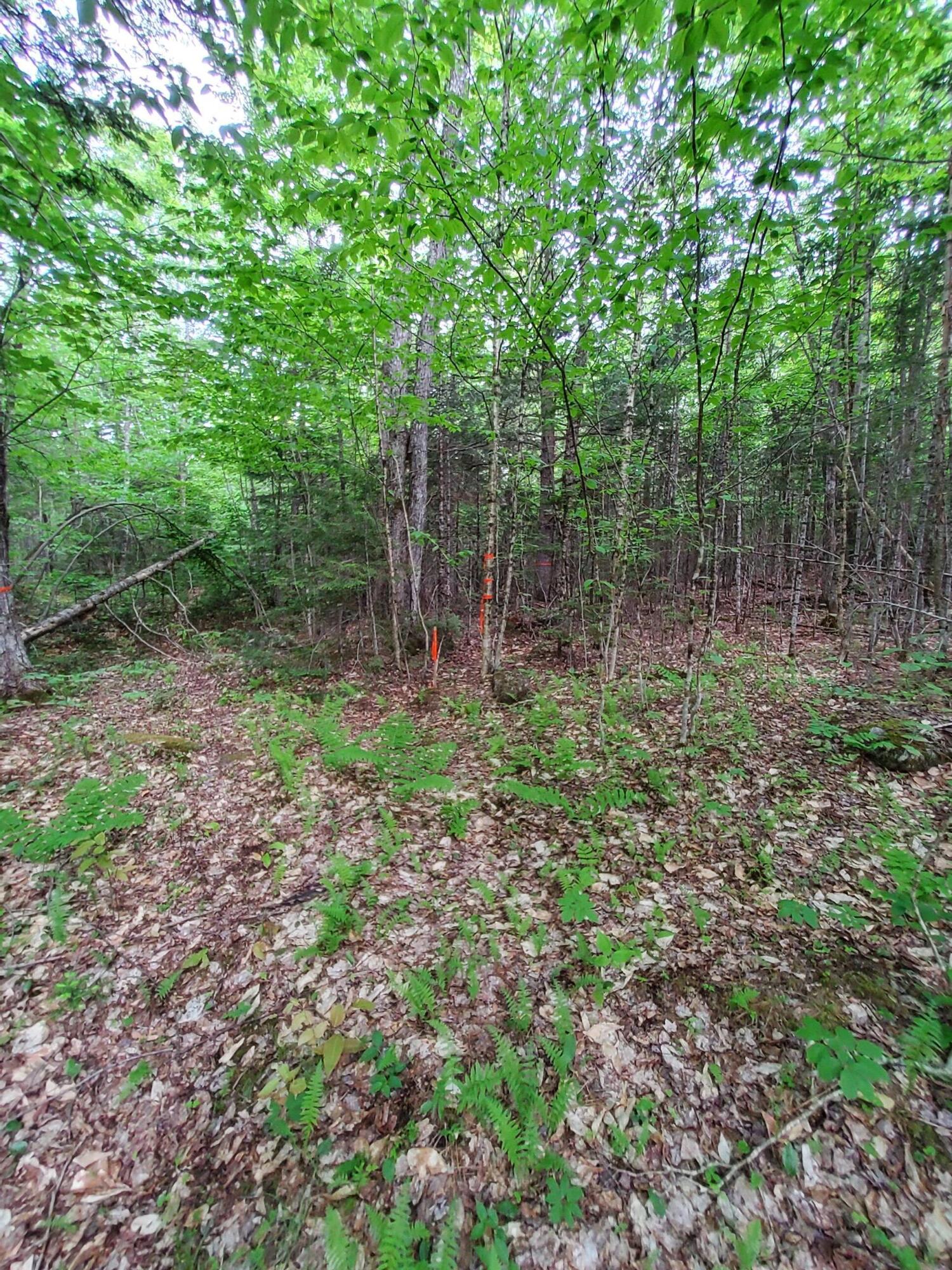 Lot 50 Map 14) Andover, ME 04216 - Photo 8 of 12 20260605_164750
